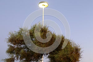 Lantern for lighting in a city park in Israel