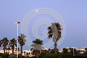 Lantern for lighting in a city park in Israel