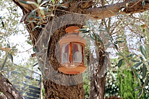 Lantern for lighting in a city park in Israel