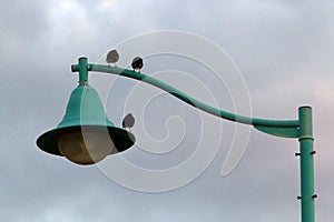 A lantern for lighting installed in a city park in Israel