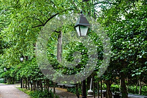 Lantern lining walkway in Philadelphia garden with beautiful green trees