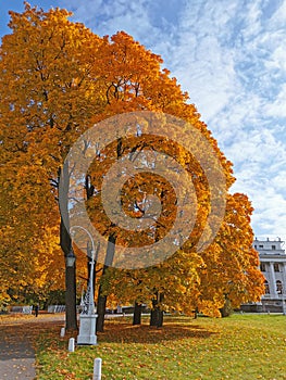 Lantern and maples with orange, bright, autumn leaves against the background of the Elaginoostrovsky Palace
