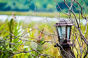 Lantern in nature for concept alone or horor