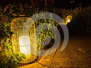 Lantern in night garden