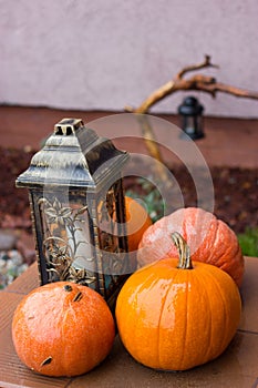 Lantern and orange pumpkins