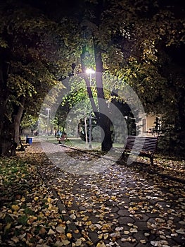 Lantern in the park during the autumn season at night. Leaf fall in October. Yellow leaves fell to the asphalt and ground. Evening