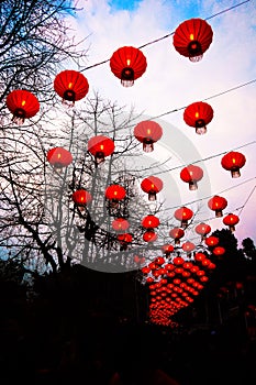 Lantern, Spring Festival