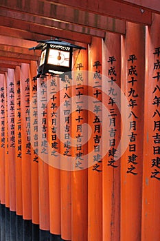 Lantern - Tori Path in Fushimi Inari