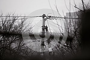 Lantern and wires