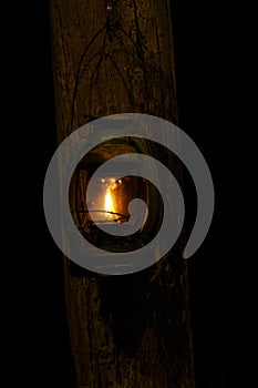 lanterns hanging on tree pole