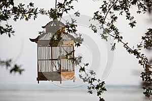 Lanterns hanging from the trees to decorate at sunset bird cage