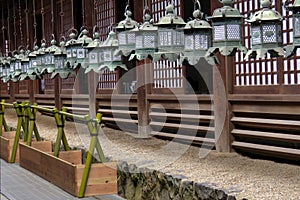 Lanterns in Kasuga Taisha shrine in Nara, Japan