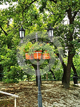 Lanterns in the park in the center of the city