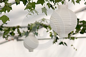 Lanterns in a summer pavilion