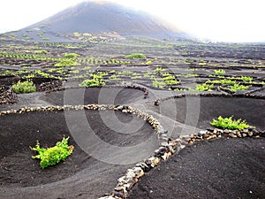 Lanzarote, Canary Islands