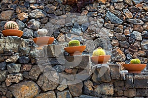 Lanzarote Guatiza cactus garden pots in a row