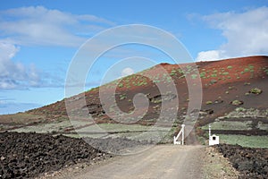 Lanzarote - Montana Quemada photo