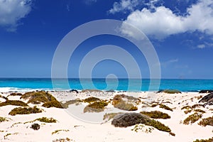 Lanzarote Orzola white sand beach in Canaries