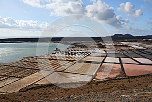 Lanzarote. Salinas de Janubio. Canary Islands