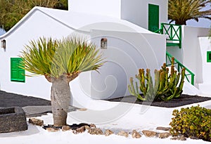 Lanzarote san Bartolome monumento Campesino photo