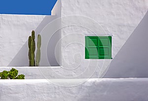 Lanzarote san Bartolome white typical cactus house photo