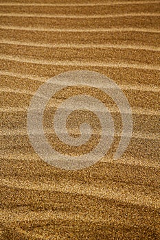 in lanzarote spain texture abstract dry sand and the beach