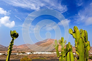 Lanzarote Yaiza with cactus and mountains photo