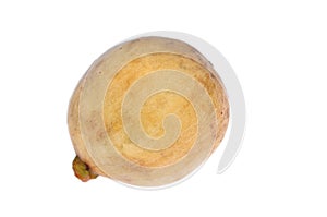 Lanzones fruit isolated