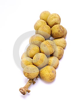Lanzones fruit isolated