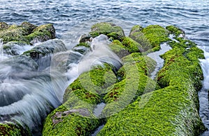Lao Mei green rock troughs /The green Reef  in Shimen