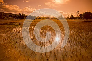 LAO PHONSAVAN LANDSCAPE AGRICULTURE