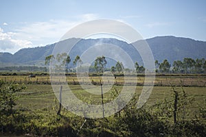 LAO PHONSAVAN LANDSCAPE AGRICULTURE