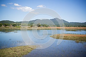 LAO PHONSAVAN LANDSCAPE AGRICULTURE