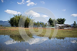 LAO PHONSAVAN LANDSCAPE AGRICULTURE