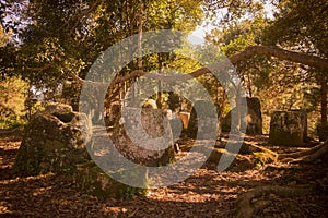 LAO PHONSAVAN PLAIN OF JARS