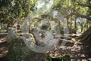 LAO PHONSAVAN PLAIN OF JARS