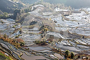 Laohuzui Terraced Field Scenic Area 2