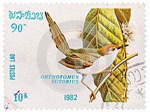 Stamp printed in LAOS shows Common Tailorbird Orthotomus sutorius