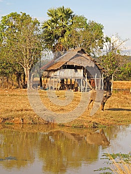 Laos landscape
