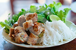 Laos stye spring roll photo