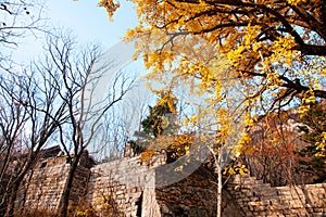 Laoshan mountains beautiful autumn scenery of China