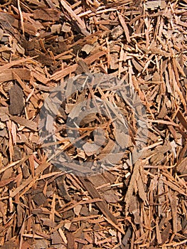 Lapacho - herbal tea