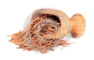 Lapacho herbal tea in wooden scoop, isolated on white background. Natural Taheeboo dry tea. Pau d'arco herb. Tabebuia photo