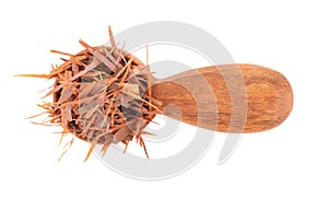 Lapacho herbal tea in wooden spoon, isolated on white background. Natural Taheeboo dry tea. Pau d'arco herb. Tabebuia