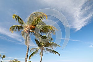 Lapakahi State Historical Park, Big Island, Hawaii,USA