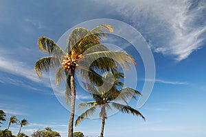 Lapakahi State Historical Park, Big Island, Hawaii,USA