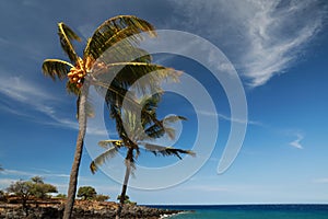 Lapakahi State Historical Park, Big Island, Hawaii,USA