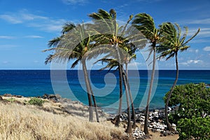 Lapakahi State Historical Park, Big Island, Hawaii,USA