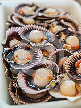 `Lapas` or true limpets - traditional seafood of Tenerife and Madeira Islands