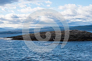 Lapataia bay landscape, Tierra del Fuego. Landscape of the Atlantic Ocean in Ushuaia, Argentina  landmark